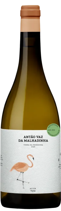 Antão Vaz da Malhadinha - Vinha da Peceguina