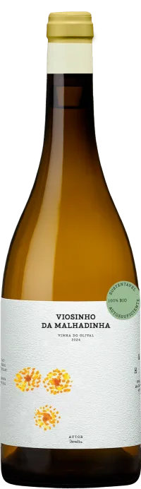 Viosinho da Malhadinha