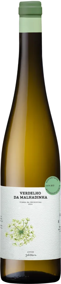Verdelho da Malhadinha - Vinha da Peceguina