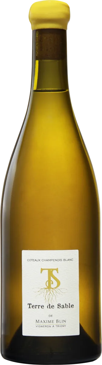 Terre de Sable – Coteaux Champenois Blanc