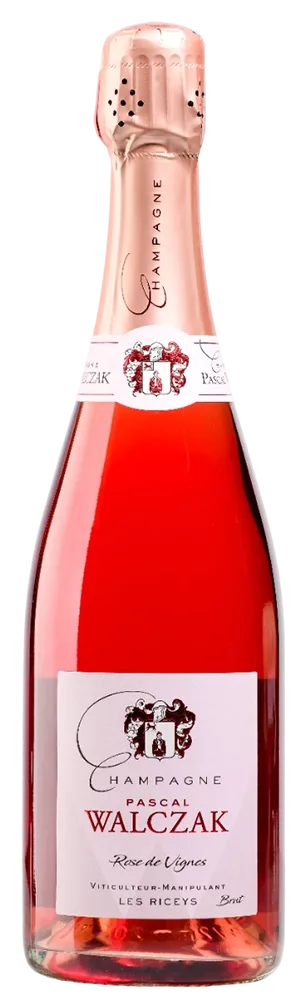 Rose de Vignes