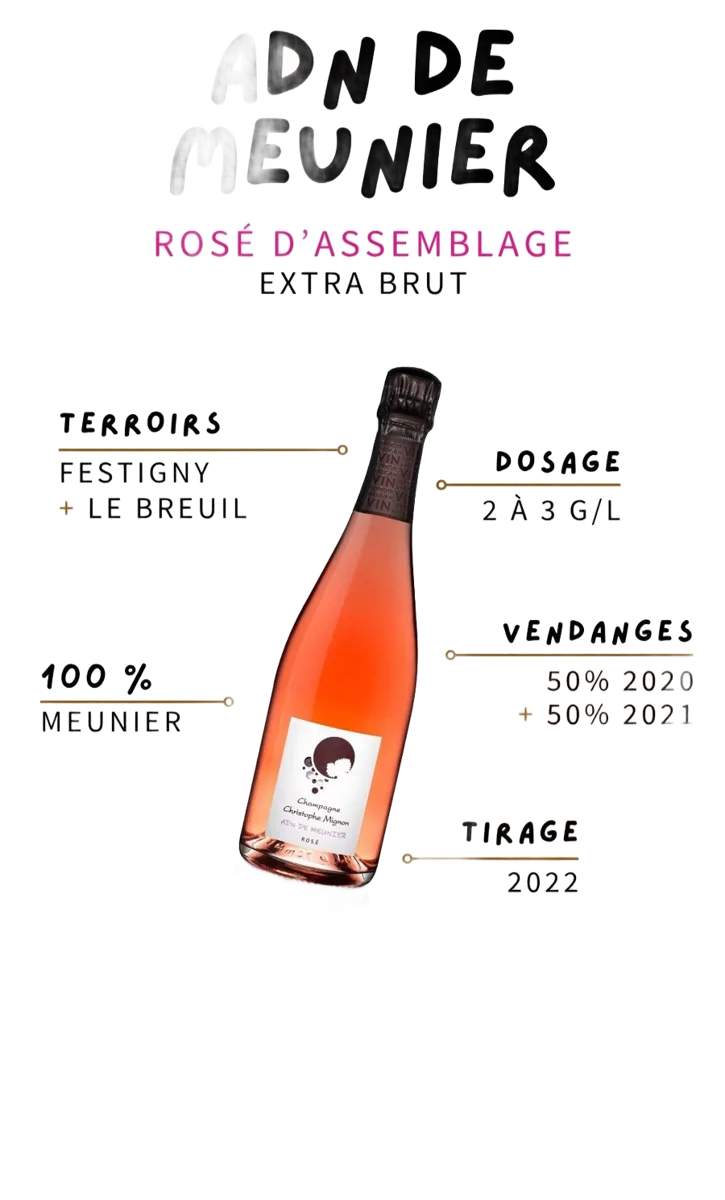 Rosé Assemblage