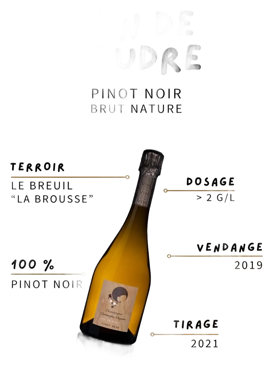 Foudre Pinot Noir