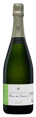 Alt 199 Brut