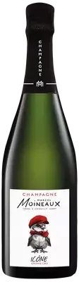 Icône