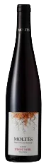 Alsace Tradition Pinot Noir Bio 2025