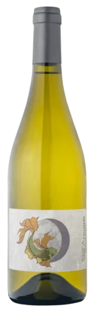 Poisson blanc
