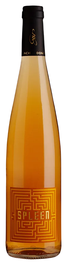 Spleen Orange