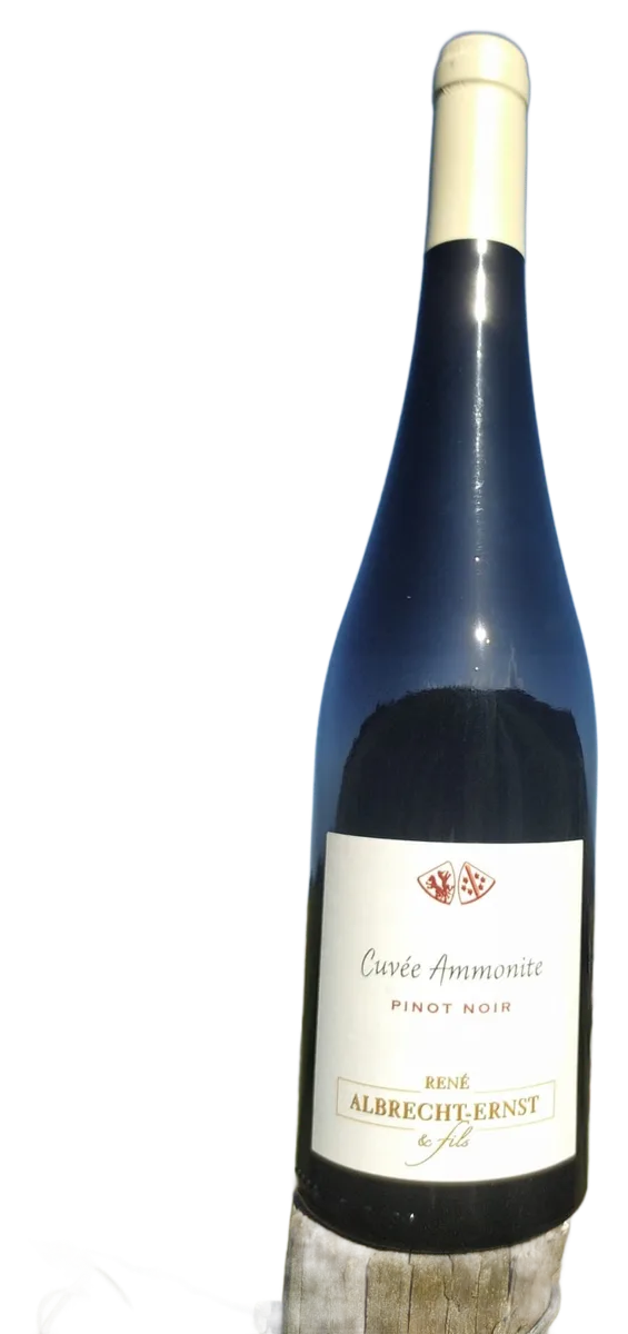 Pinot Noir Ammonite