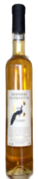 Dernière cueillette