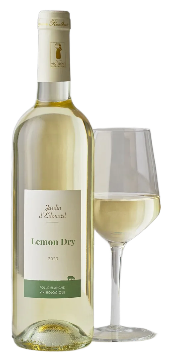 Lemon Dry