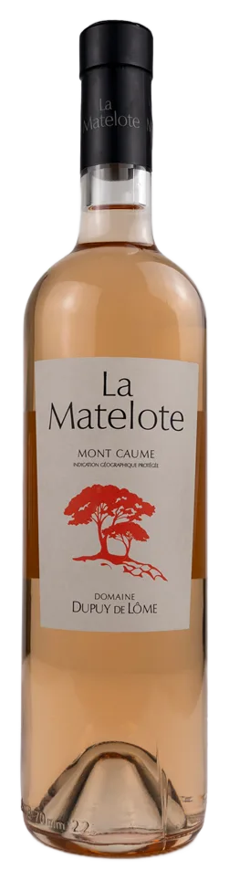 La Matelote Rose