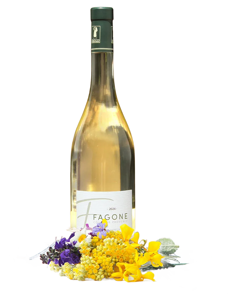Fagone Côtes de Provence - blanc