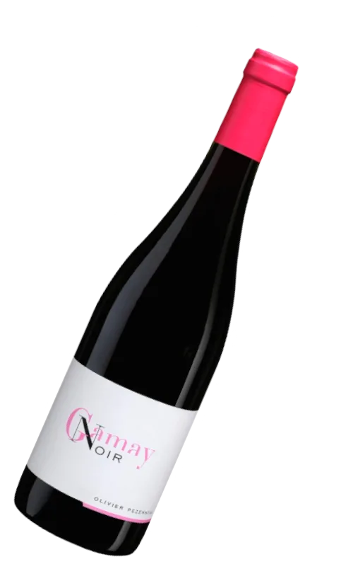 Gamay Noir
