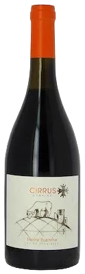 Cuvée Sainte-Ruphine