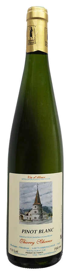 Pinot Blanc