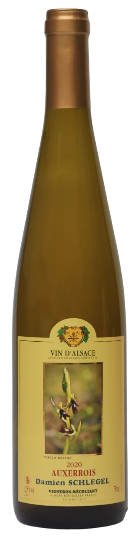 Auxerrois