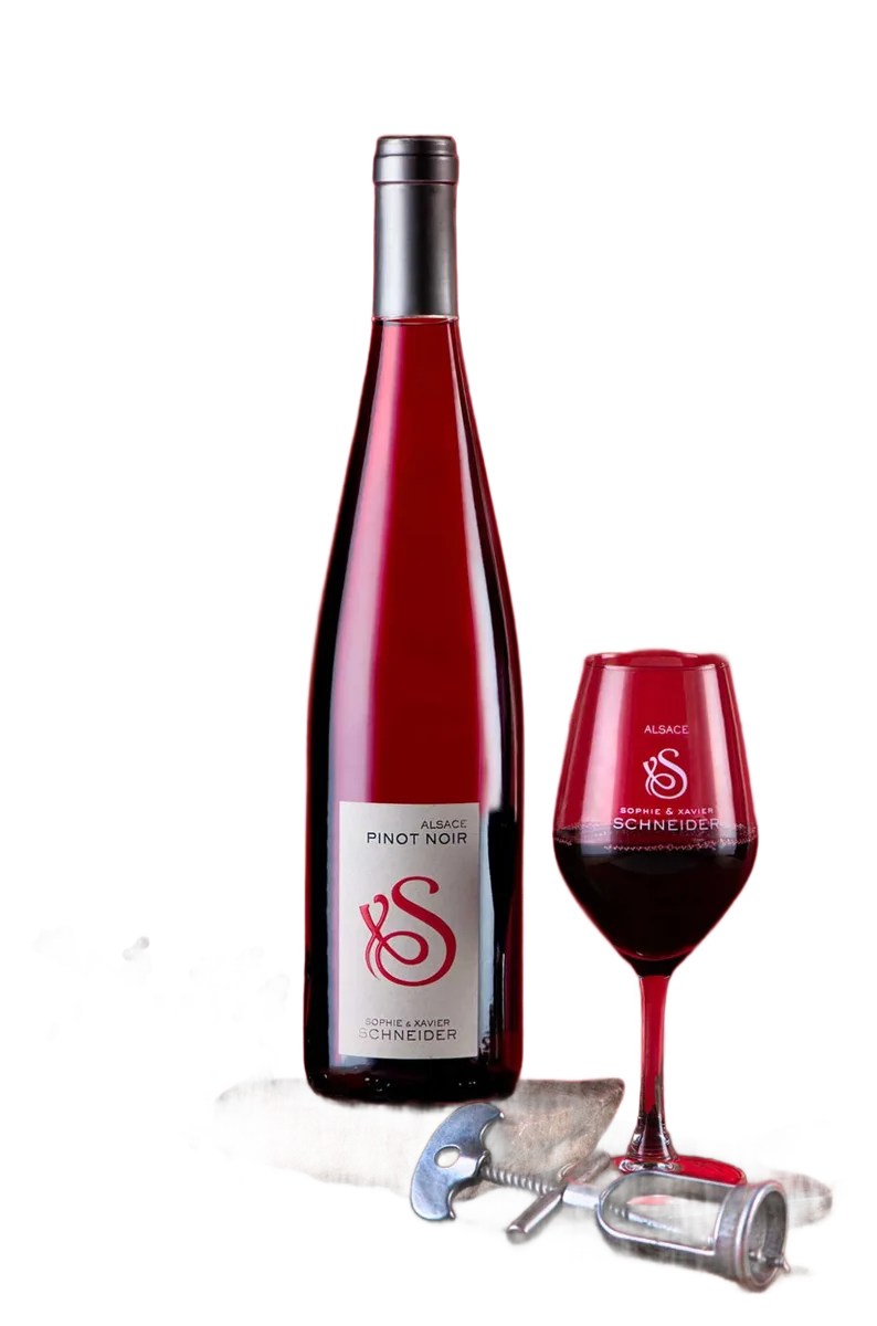 PINOT NOIR Tradition 2024