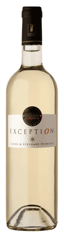 Exception
