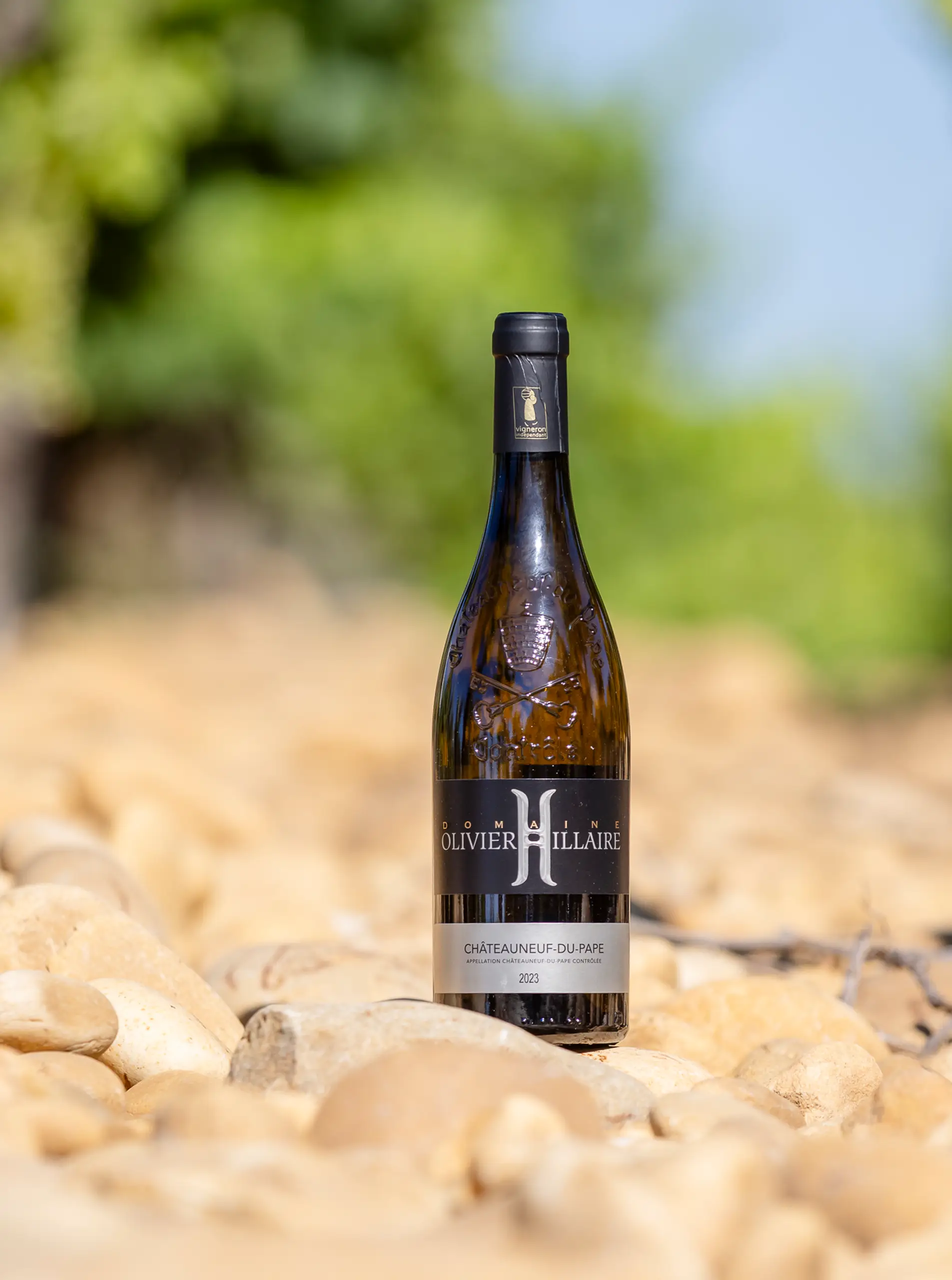 Châteauneuf-du-Pape Blanc Domaine Olivier Hillaire