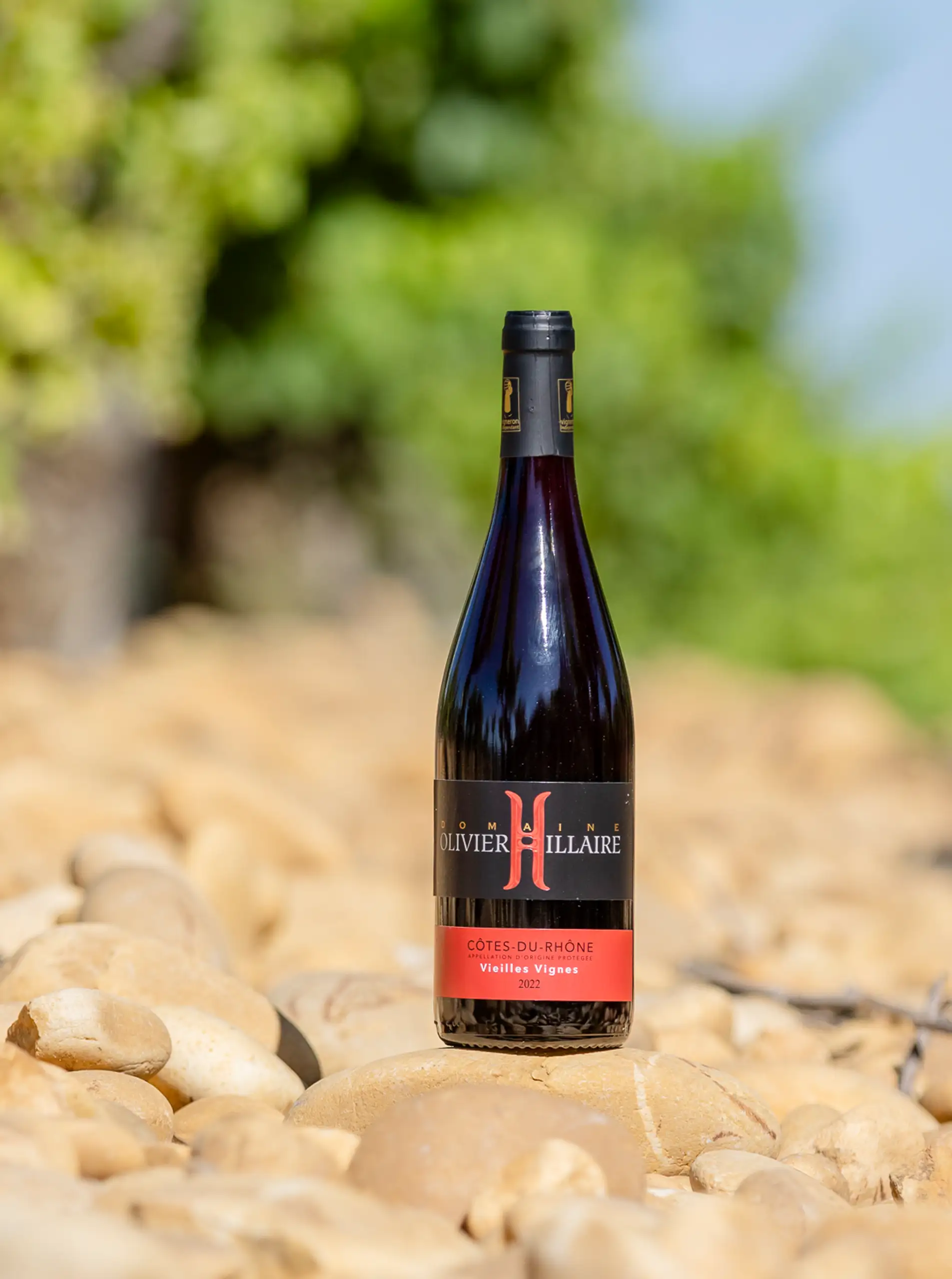 Côtes du Rhône Vieilles Vignes