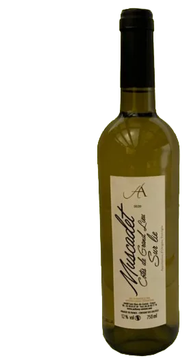 Muscadet Côtes de Grand Lieu sur Lie