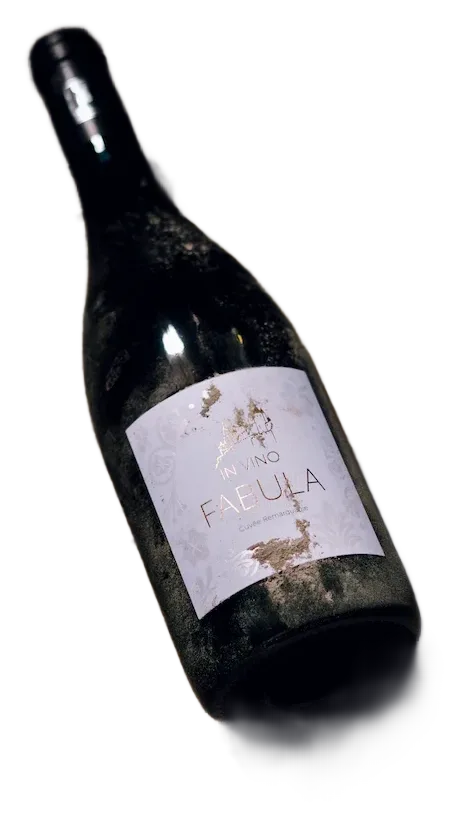 In Vino Fabula