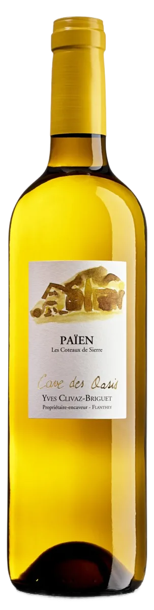 Paien