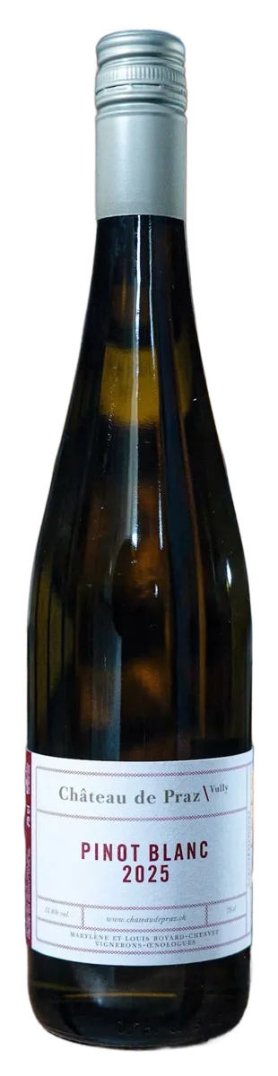 Pinot Blanc 2025