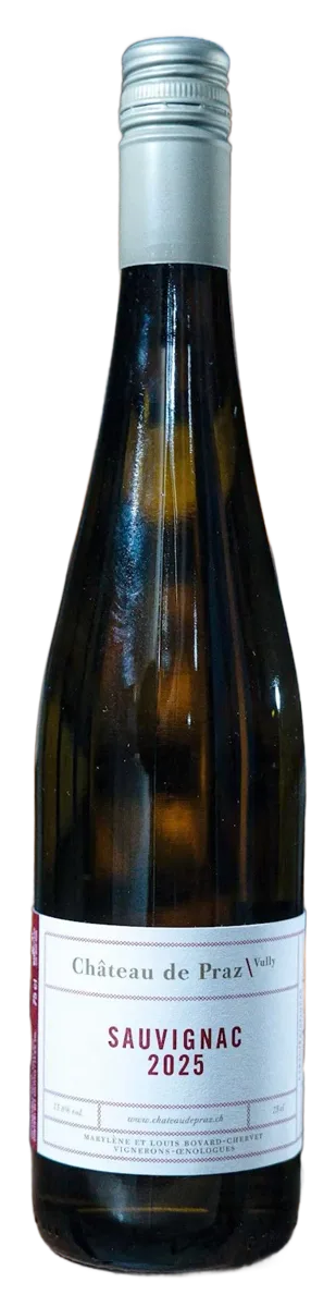 Sauvignac 2025
