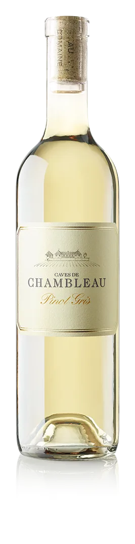 Pinot Gris 2024
