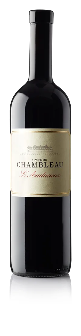 L'Audacieux 2023 - Divico sans sulfites ajoutés