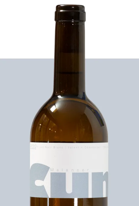 Pinot Noir Blanc – Blanc de Noir