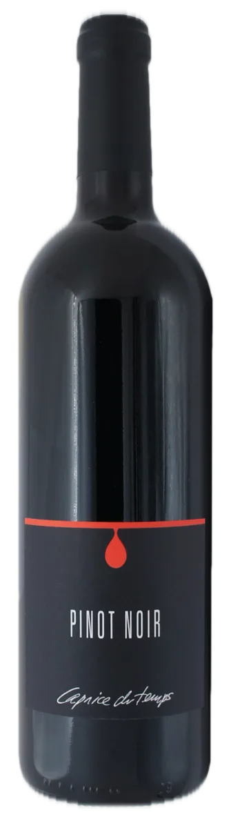 PINOT NOIR