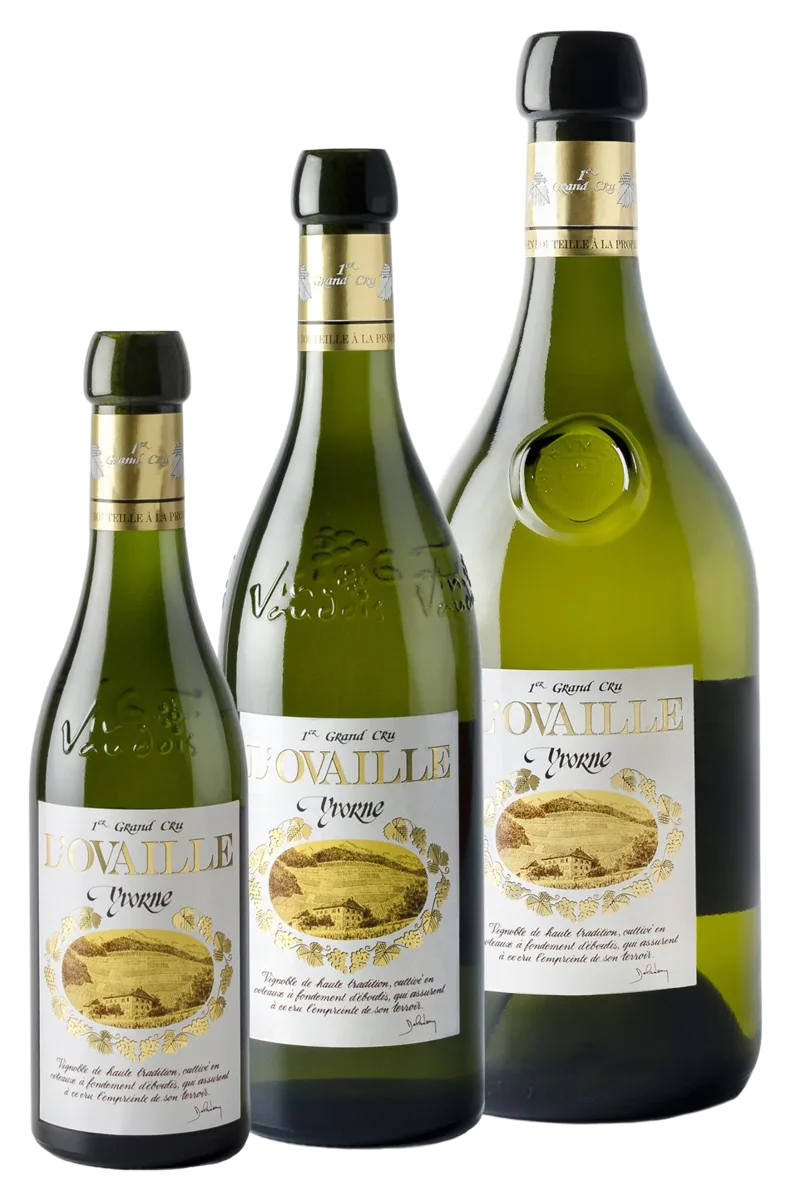 Chasselas