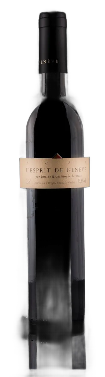 Esprit de Genève