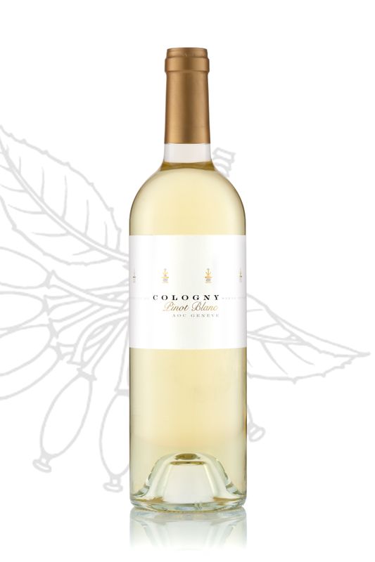 Pinot Blanc