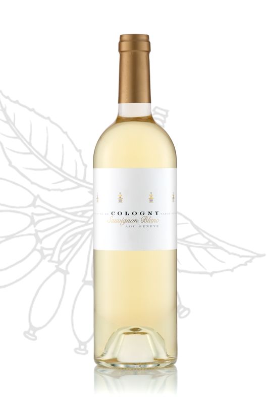 Sauvignon Blanc