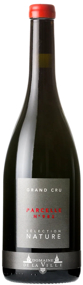 Parcelle 982 Gamay