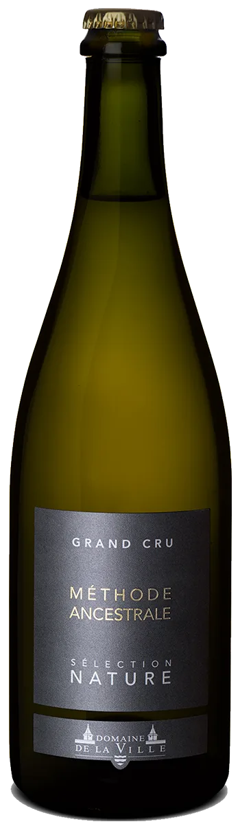 Méthode Ancestrale Pet-Nat Chasselas