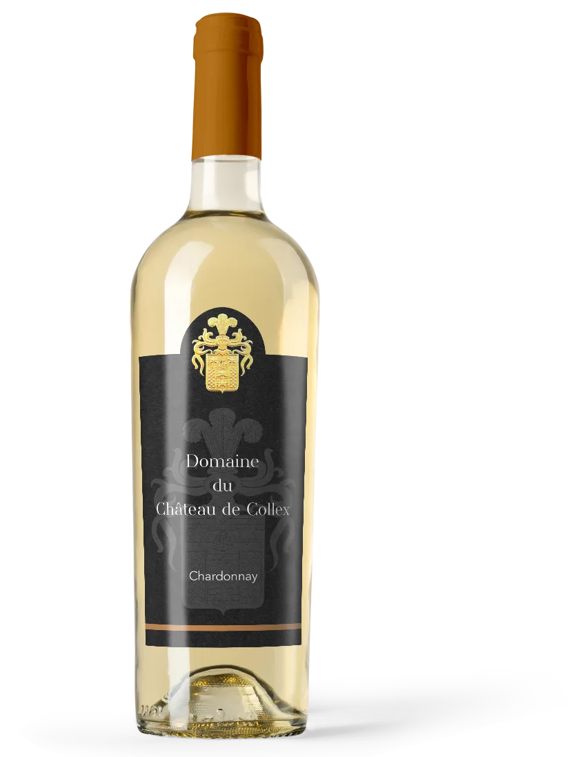 Chardonnay