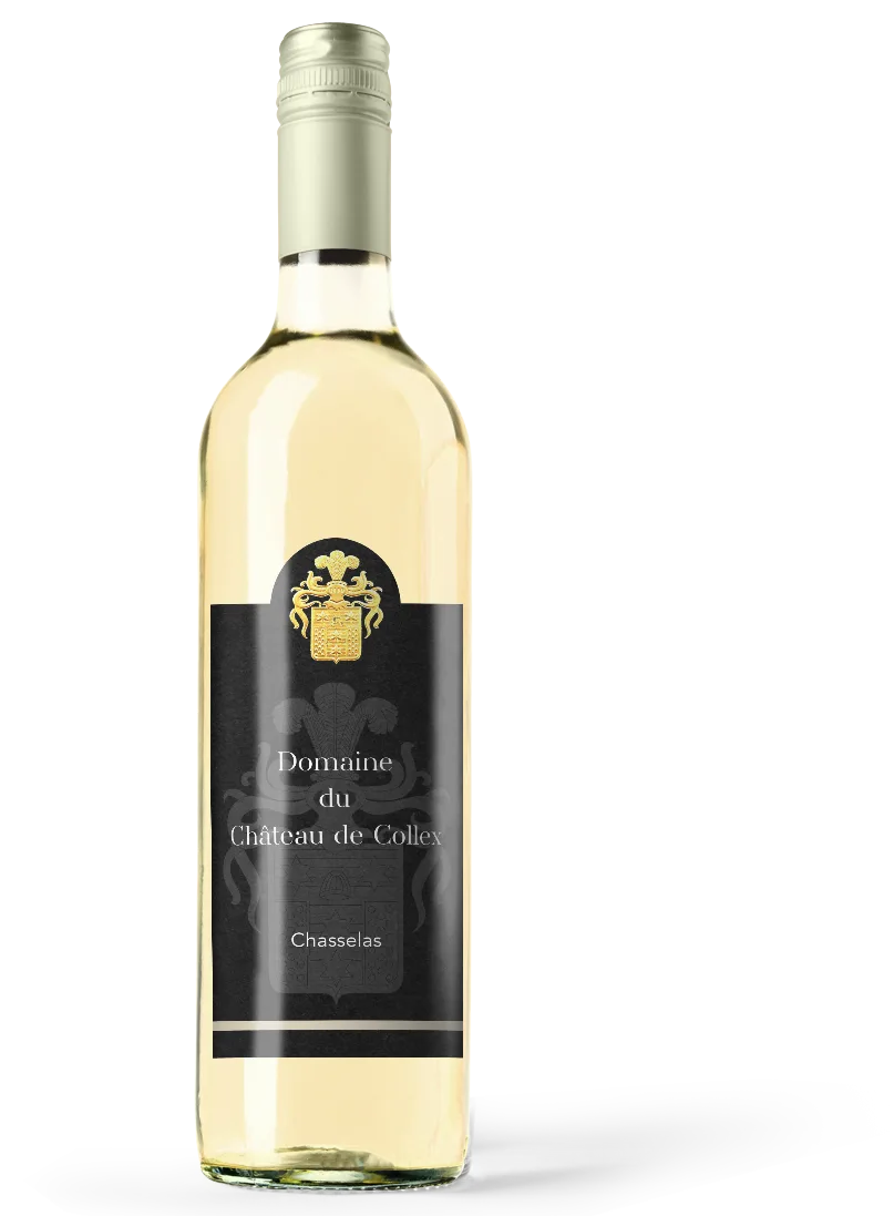 Chasselas
