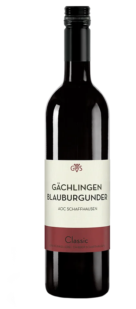 Blauburgunder Classic Rüdlingen