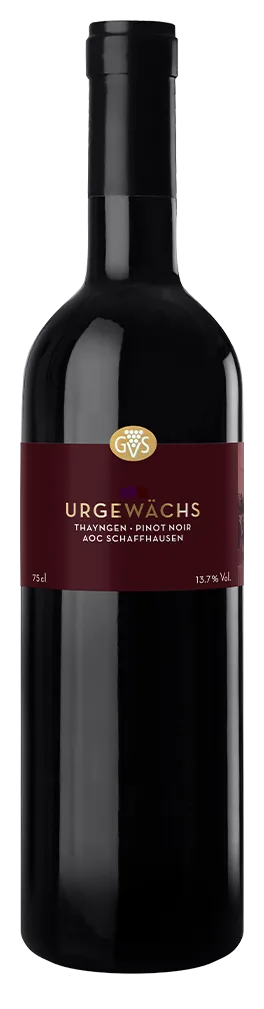 Urgewächs Thayngen