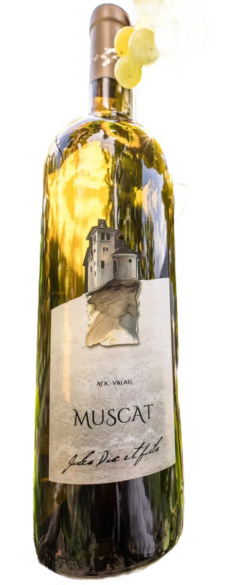 Muscat