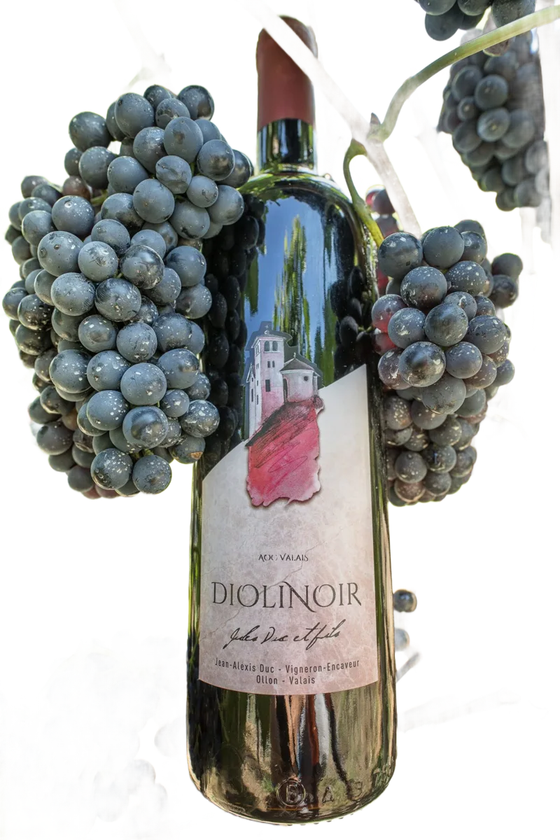 Diolinoir
