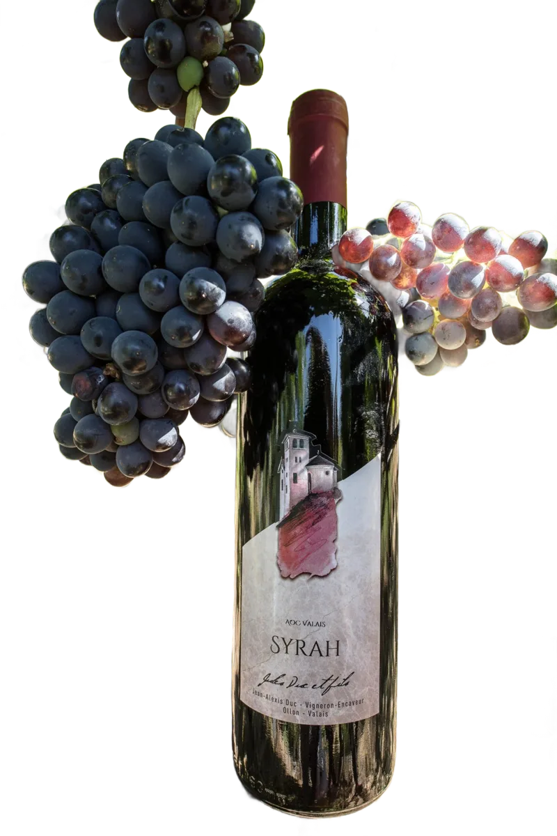 Syrah