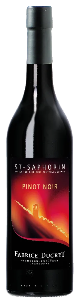 Pinot noir – St-Saphorin