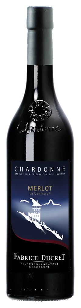 Merlot – Chardonne