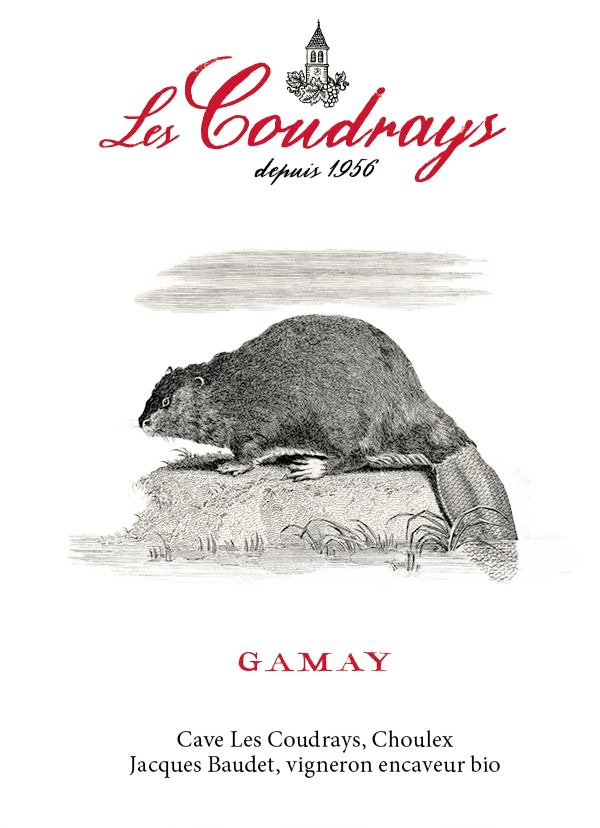 Gamay